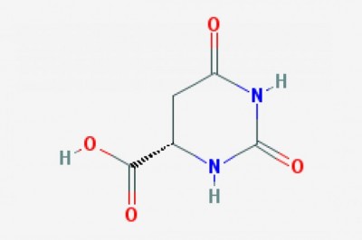 chemical companies supply chain difference