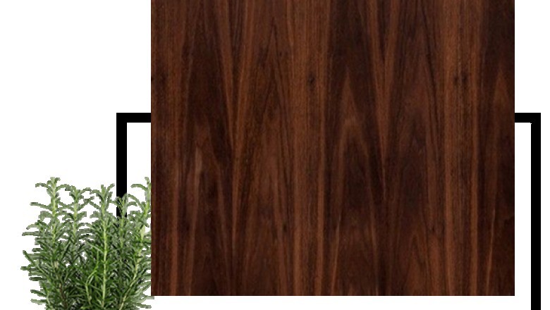Plywood Manufacturers In India