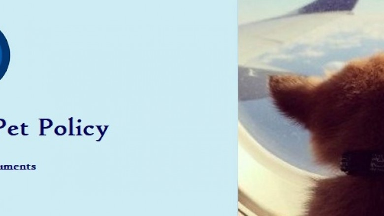 Get the Best Offer & Deals JetBlue Pet Policy
