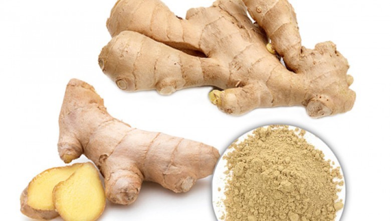 Ginger Extract