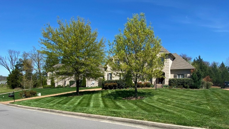 Lawn Mowing Service Antioch