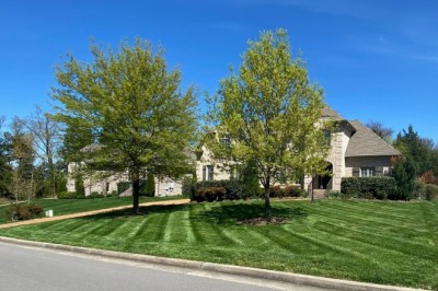 Lawn Mowing Service Antioch