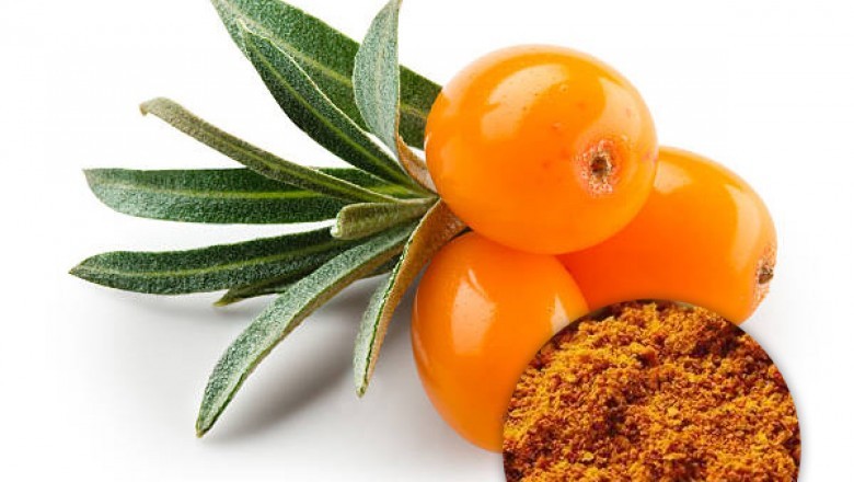 Organic Seabuckthorn Powder