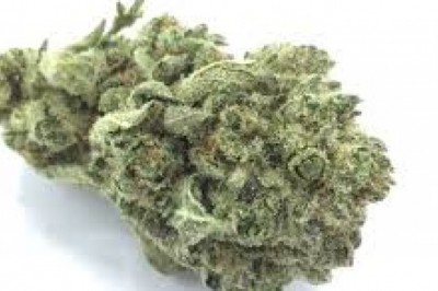 CBD vs. THC | The actual fact