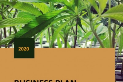 hemp nursery business plan