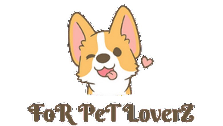 The Benefits of Dog Behavior Training