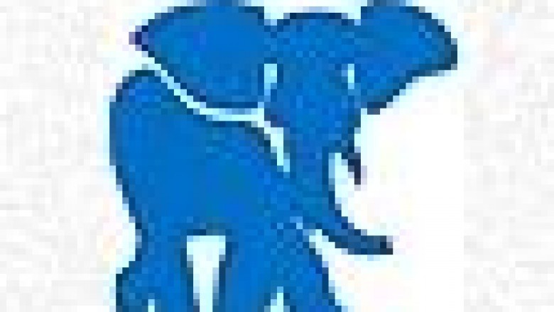 Laminate flooring installation Auckland