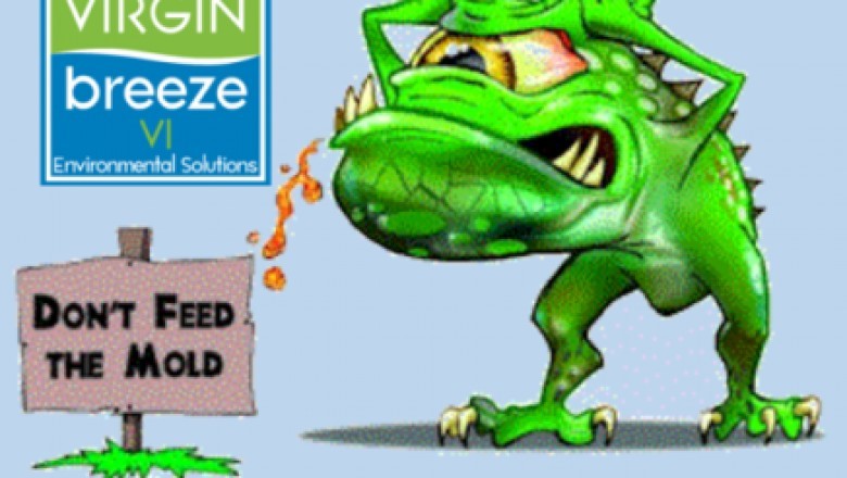 Advantages of Mold Remediation