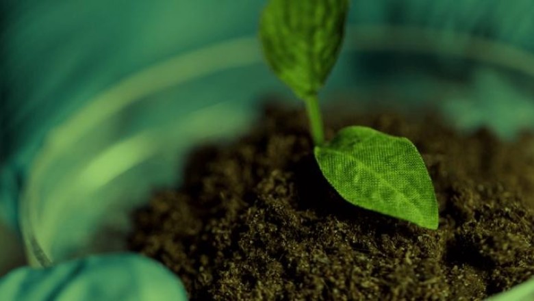 Plant-based Biologics Market Size, Share, Outlook, and Opportunity Analysis, 2020– 2027