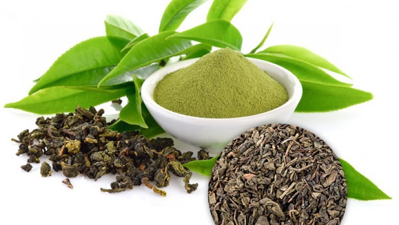 Green Tea Extract Powder 50%