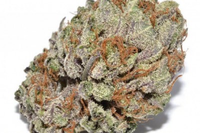 The Beginner’s Guide to Shopping for Pot