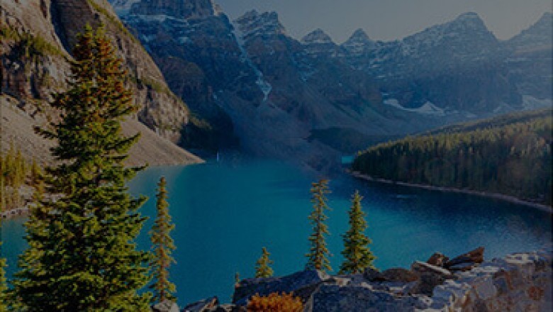 Get Your Visitor Visa to travel the world | World Immigration Network
