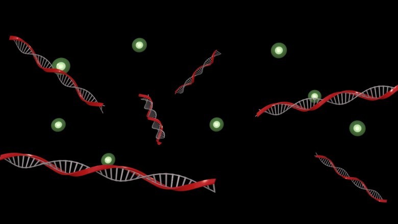 In-situ hybridization has greatly enhanced personalized gene-expression methods that may be employed in various diseases and tissue sections