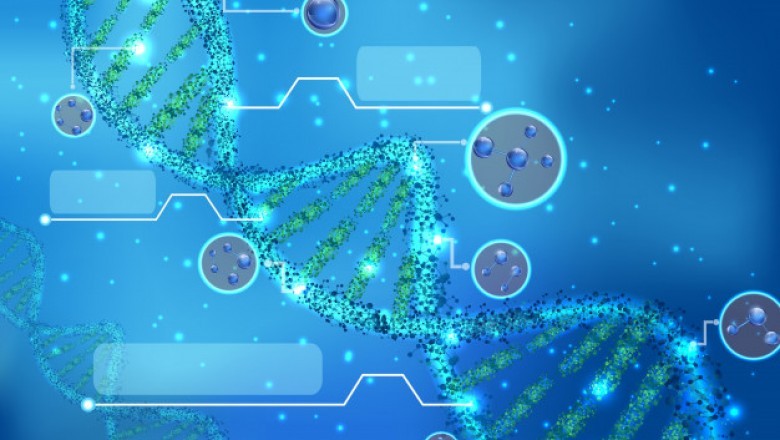Molecular Imaging is a critical technology typically used in early cancer detection and new therapy development
