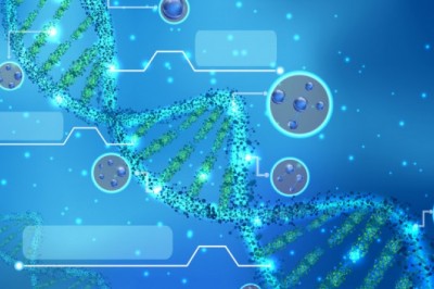 Molecular Imaging is a critical technology typically used in early cancer detection and new therapy development