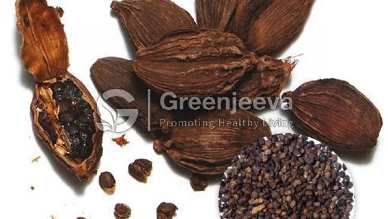 Organic Black Cardamom Seed