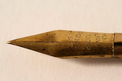 The best diet for your cat