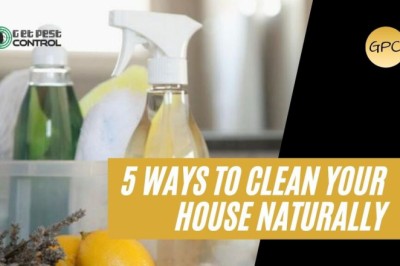 5 ways to clean your house naturally