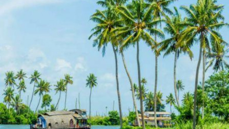 Best Kerala Tour Packages for Family and Honeymoon Couples