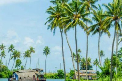 Best Kerala Tour Packages for Family and Honeymoon Couples