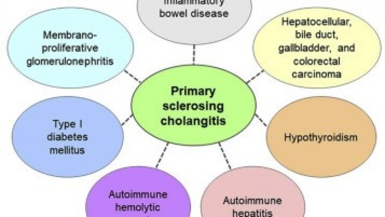 Primary Sclerosing Cholangitis Market Size, Trends, Shares, Insights and Forecast – 2018-2026