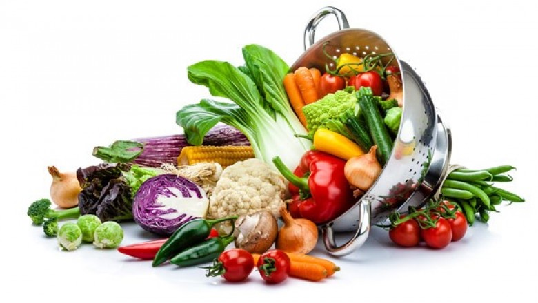 Oncology Nutrition Market Size, Trends, Shares, Insights and Forecast – 2018-2026