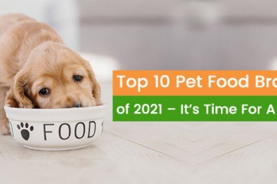 Top 10 Pet Food Brands of 2021 –It’s Time For A Treat