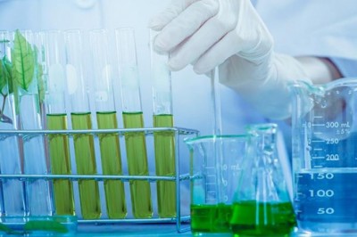 As a substrate for the processing of various higher value-added goods, Platform Chemicals is gaining considerable traction