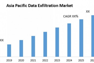 Asia Pacific Data Exfiltration Market
