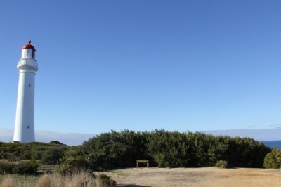 The Zika Virus Is Still A Risk In Certain Regions