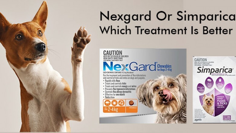 Nexgard Or Simparica – Which Treatment Is Better?