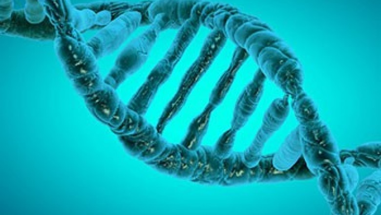Epigenetics Market Size, Trends, Shares, Insights and Forecast – 2018-2026