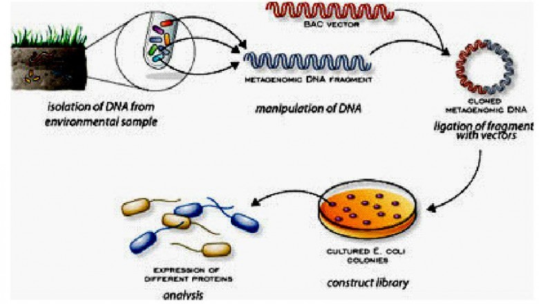 Metagenomics Market Clinical Research Analysis 2021 to 2030