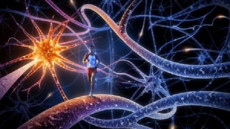 Nerve Repair and Regeneration Market Opportunity Analysis-2027