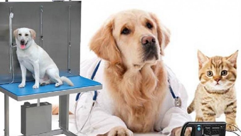 Veterinary Equipment and Disposables Market Size, Trends, Shares, Insights and Forecast – 2018-2026