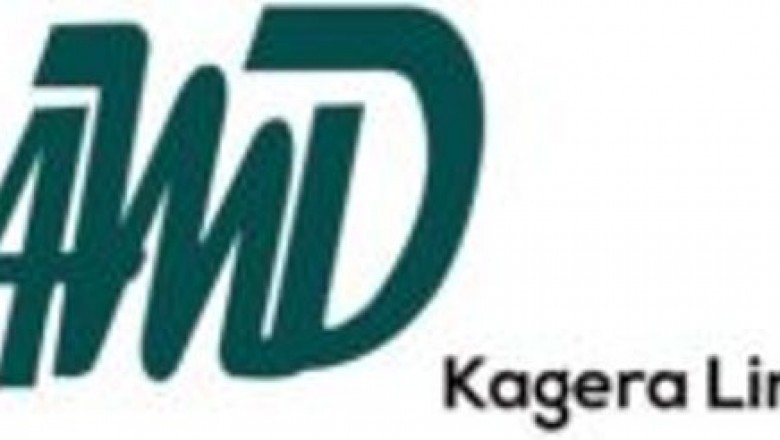 AMD Treatments That happen to be Below Trials and Analysis