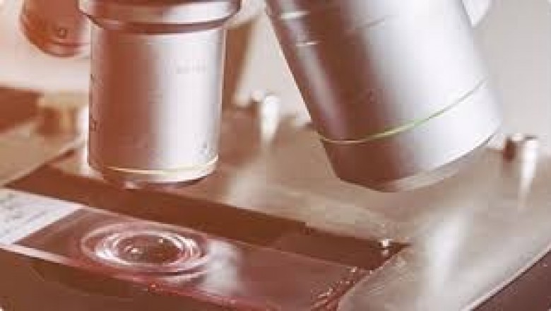Anatomic Pathology Market Size, Share, Outlook, and Opportunity Analysis, 2019– 2027