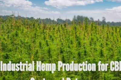 How much does it cost to grow hemp