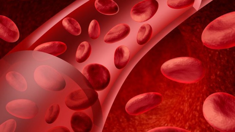 Bleeding problem related best lady doctor in Jaipur