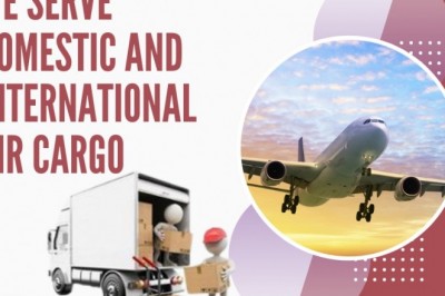 Domestic air cargo service providers in India and Chennai