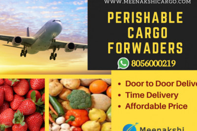 Take perishable and live fish cargo services in Chennai. Get the best service with us Today.