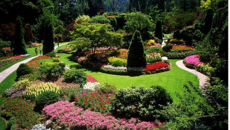 Landscaping Concepts & Ideas