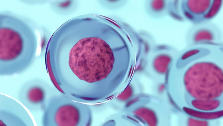 Regenerative Medicine Market Global Size, Growth, Demand and Clinical Research Analysis 2021 to 2030