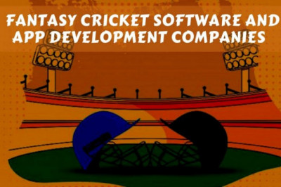 Top 10 Fantasy Cricket Software and App Development Companies 2021-22