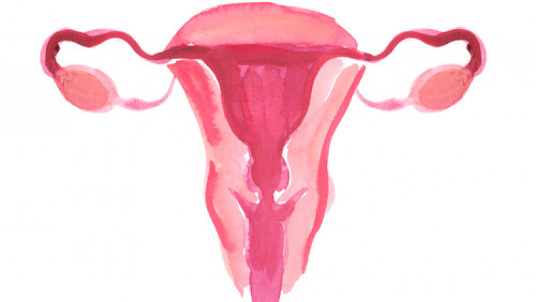Cervical Dysplasia Market To Reach US$ 784.8 Million By 2027 - Coherent Market Insights
