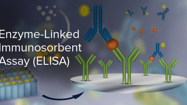 Enzyme Linked Immunosorbent Assay (ELISA) Market Opportunity Analysis-2025