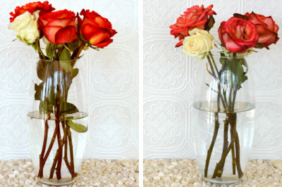 How to increase your Flowers Lifespan?