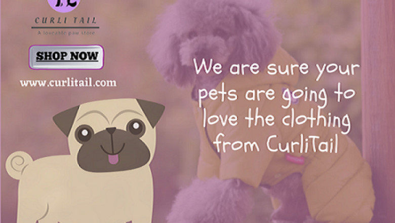Pet Accessories | personalize dog collar