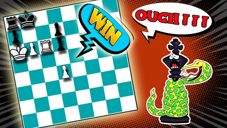 Chess Puzzle #5 : Squeeze the KING