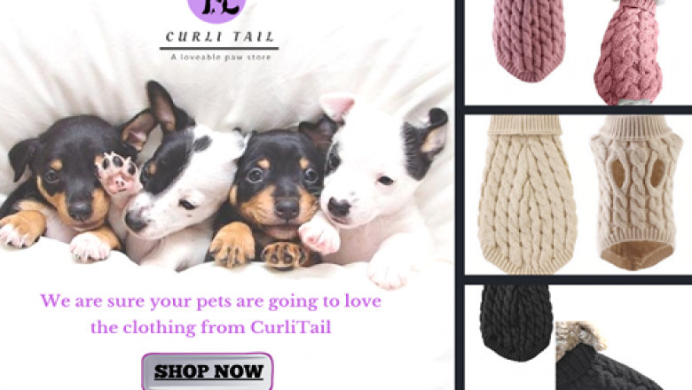 Pet Accessories | dog winter clothes price